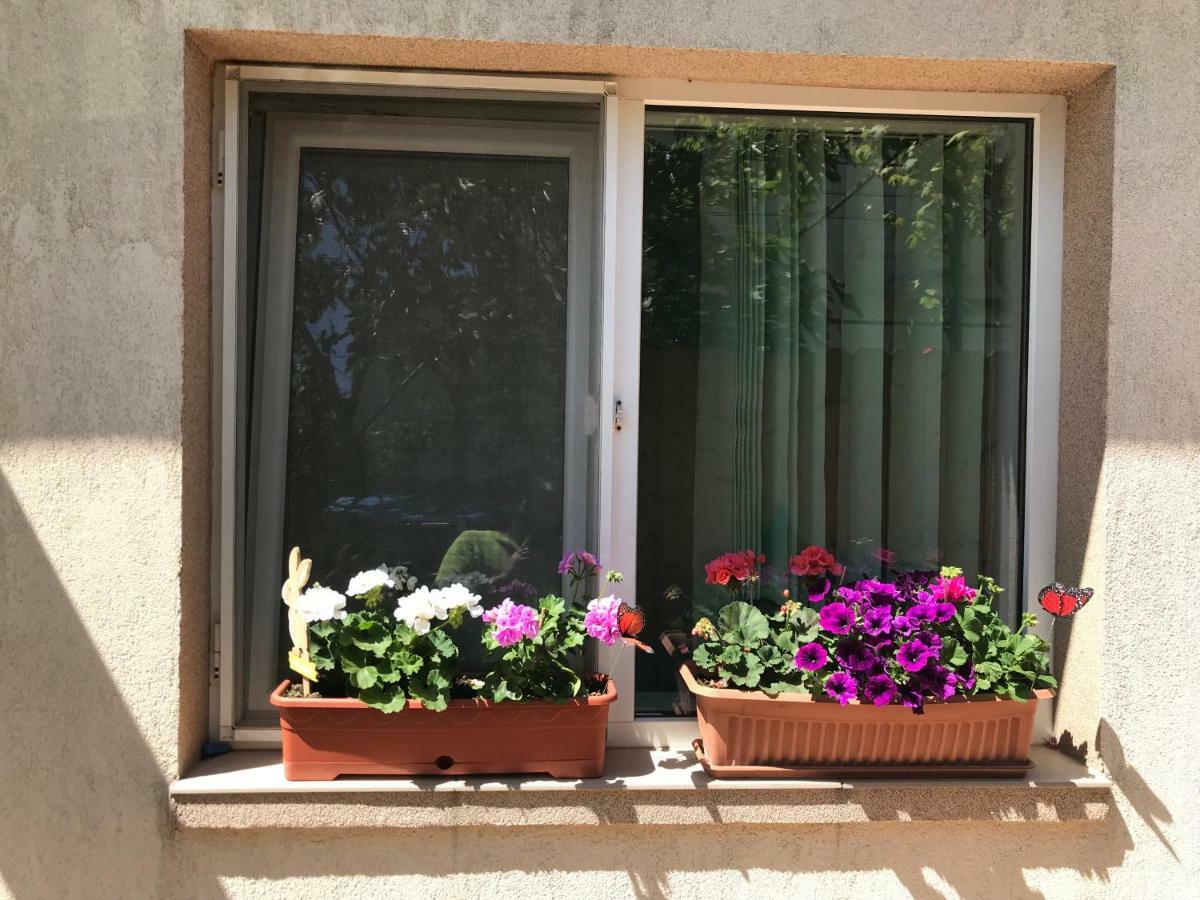 Black Sea House Apartment Konstanca Kültér fotó